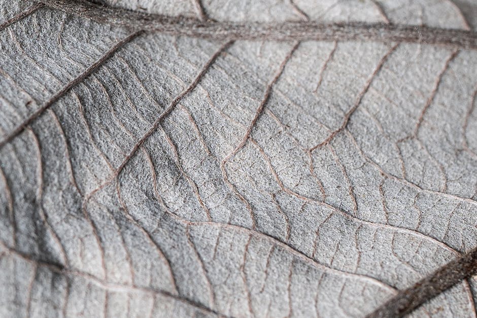 Seamless kaleidoscope wallpaper pattern — Biochemistry by wallpaper⁶ — base photo: Detailed close-up of a textured, dried leaf surface showcasing vein patterns.