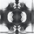 Seamless mirror wallpaper pattern — Medicine by wallpaper⁶