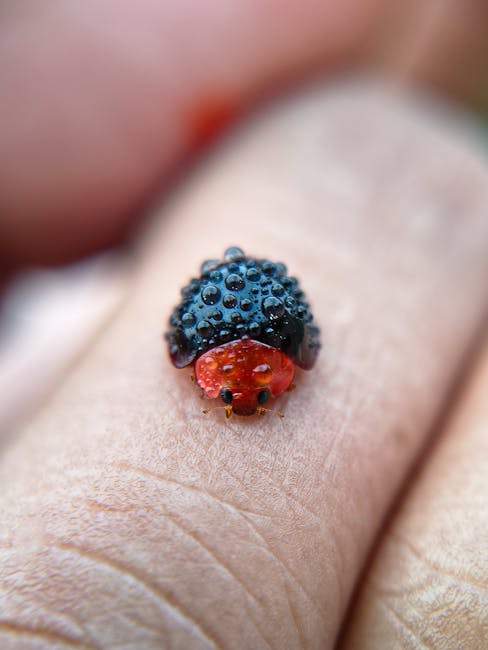 Seamless mirror wallpaper pattern — Biochemistry by wallpaper⁶ — base photo: Close-up of a ladybug covered in dew on human skin, highlighting texture and detail.