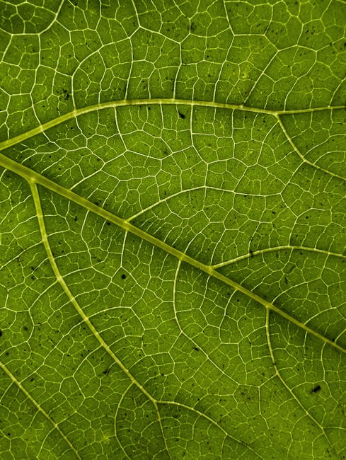 Seamless hex wallpaper pattern — Cartography by wallpaper⁶ — base photo: Detailed close-up of green leaf showcasing intricate vein patterns and natural texture.