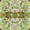 Seamless mirror wallpaper pattern — Geometry by wallpaper⁶