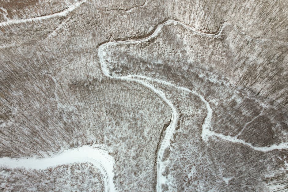 Seamless brick wallpaper pattern — Cartography by wallpaper⁶ — base photo: Aerial view of snowy forest in Daruvar, Croatia, showcasing winding paths and natural beauty.