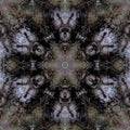 Portraits Kaleidoscope wallpaper pattern