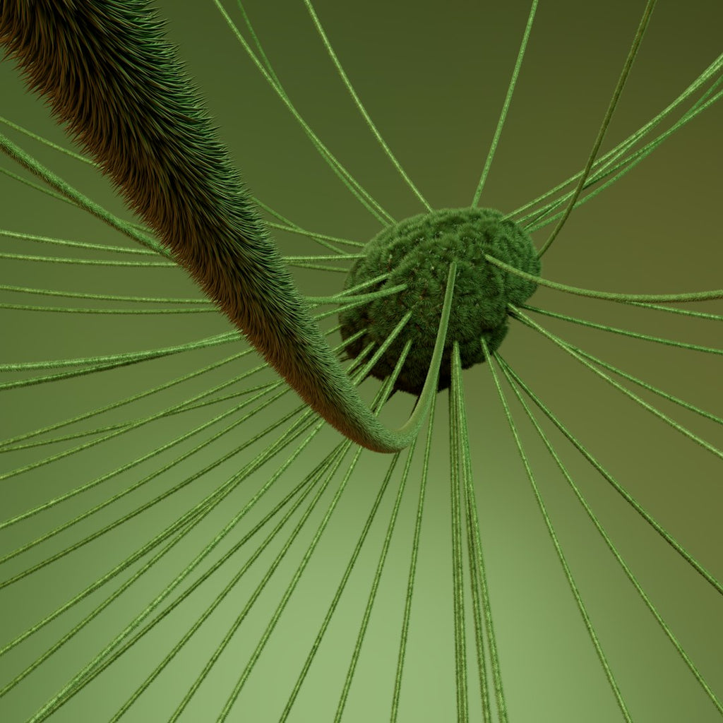 WALLPAPER⁶ — seamless kaleidoscope pattern from pollen grain microscope, Biology — base photo: Healthy brain