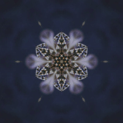 Symmetrical pattern of red opalescent lionfish with flowing fins, arranged in a kaleidoscope design against a vibrant background.