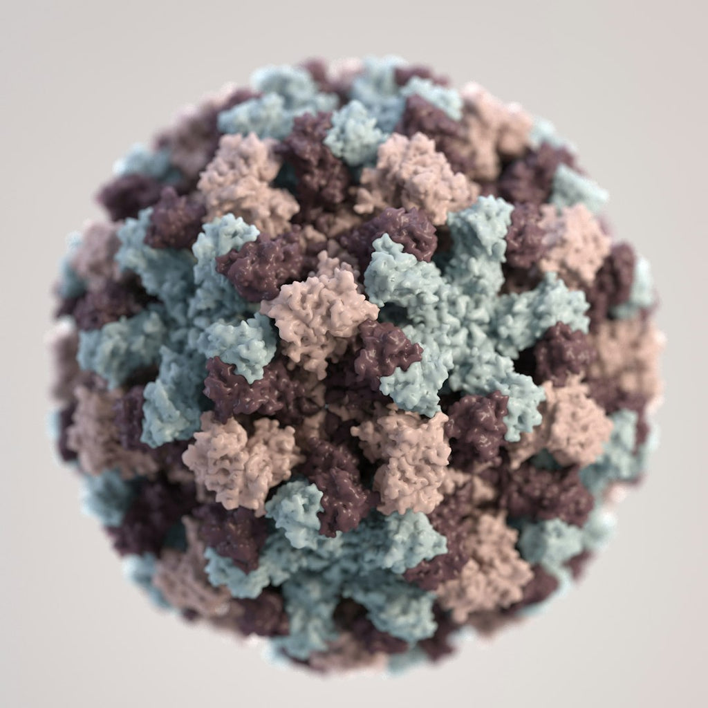 WALLPAPER⁶ — seamless rotate4 pattern from atomic model, Molecular Physics — base photo: Based on electron microscopic (EM) imagery, this three-dimensional (3D) illustration provides a grap