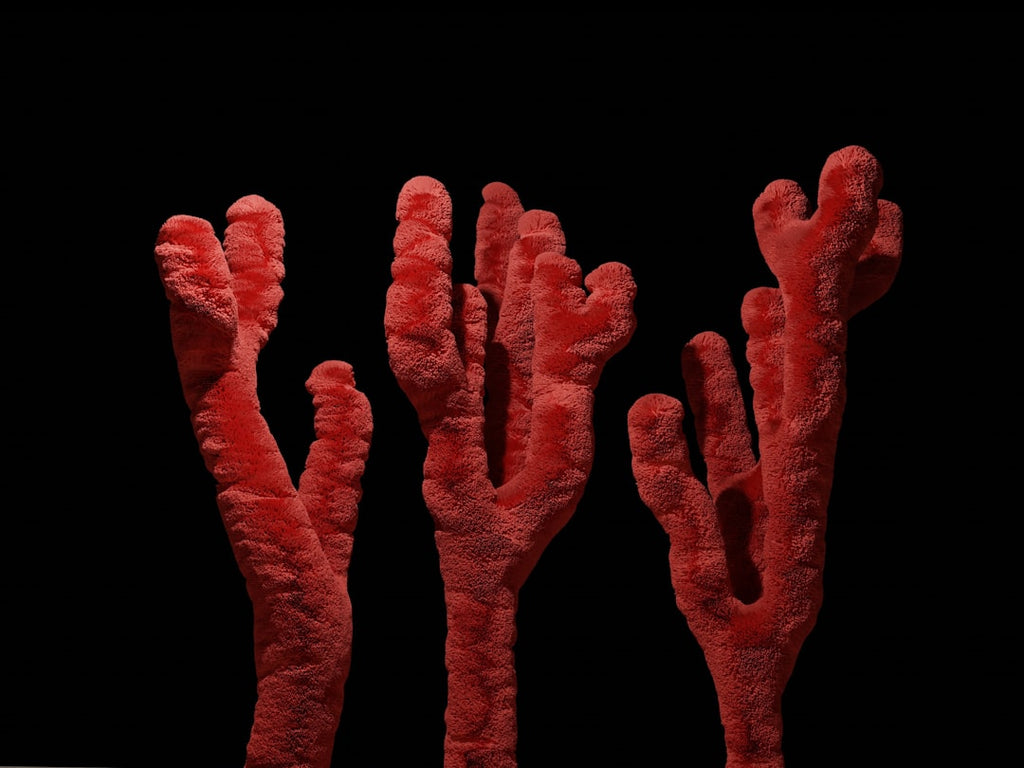 3D Kaleidoscope wallpaper pattern — base photo: red corals with a dark background