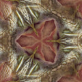 Portraits Hexagon wallpaper pattern