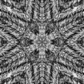 Seamless kaleidoscope wallpaper pattern — Biochemistry by wallpaper⁶