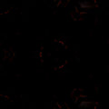 Geometric pattern inspired by Gothic cathedral stained glass windows, featuring a Hex symmetry.