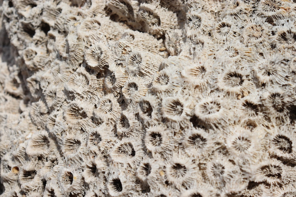 3D Hexagon wallpaper pattern — base photo: white and brown floral textile