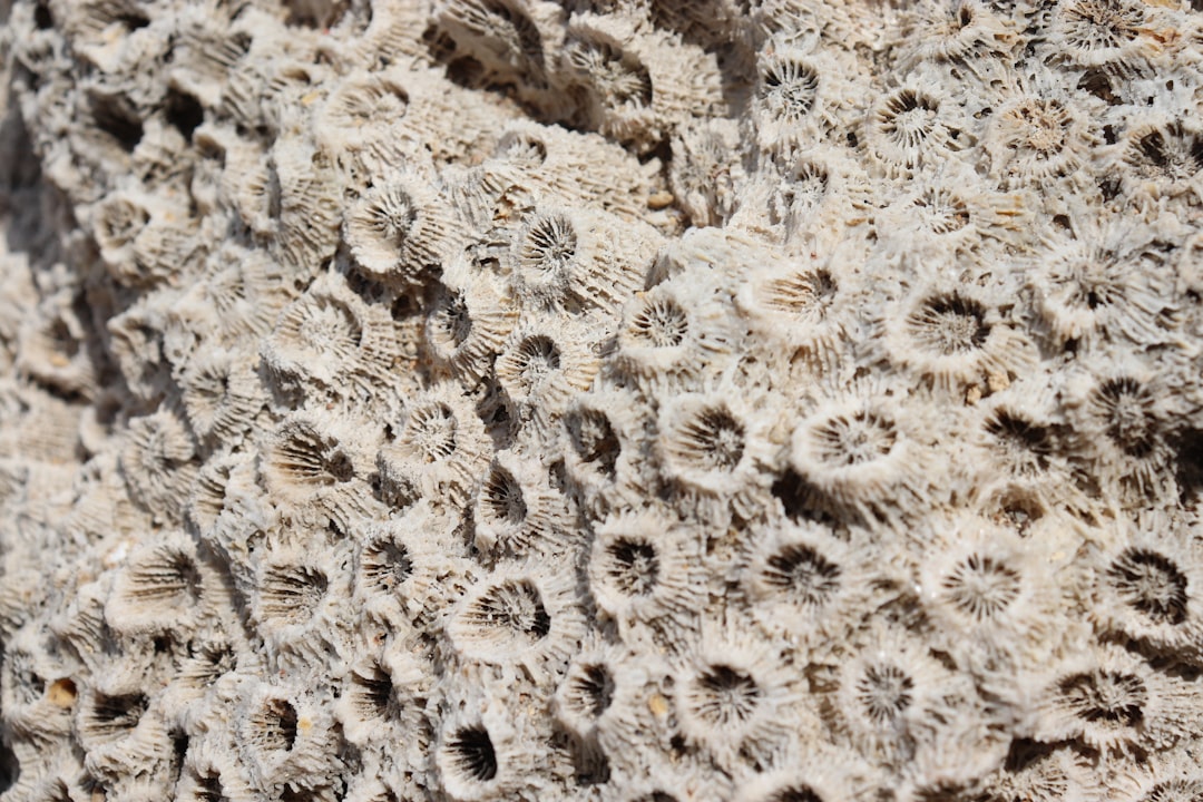3D Hexagon wallpaper pattern — base photo: white and brown floral textile