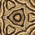 Physics Hexagon wallpaper pattern