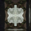 Botanics Mirror wallpaper pattern
