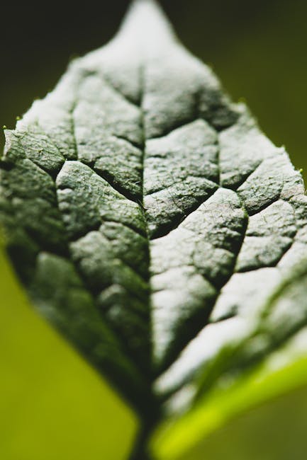 Seamless hex wallpaper pattern — Medicine by wallpaper⁶ — base photo: Detailed macro photograph of a leaf showing intricate vein patterns and textures.