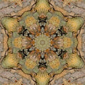 Close-up of tree bark pattern with kaleidoscope symmetry, featuring earthy brown and grey tones. Self-adhesive wallpaper design.