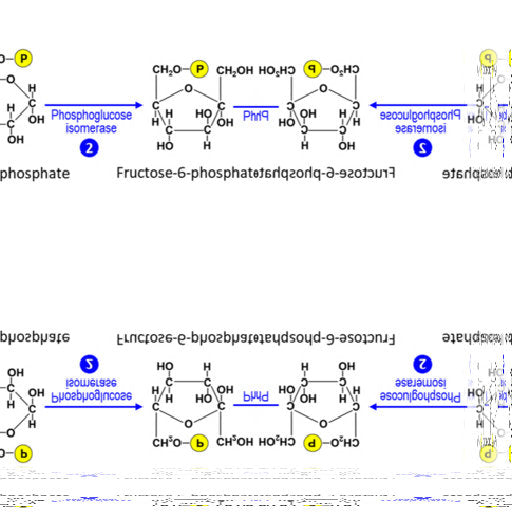 Seamless mirror wallpaper pattern — Biochemistry by wallpaper⁶