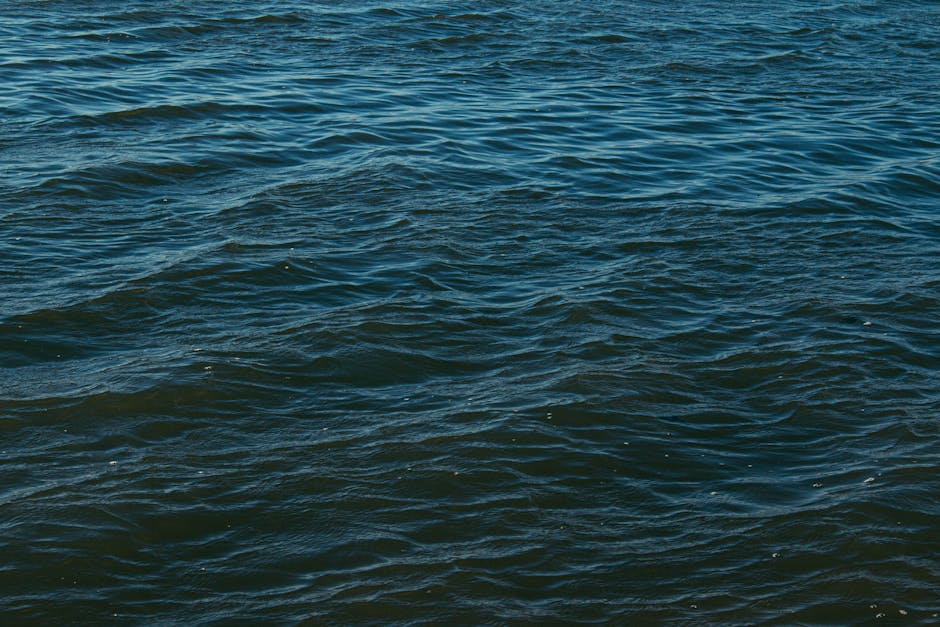 Oceanography Mirror wallpaper pattern — base photo: A serene view of the ocean with gentle ripples, showcasing a calming water texture.