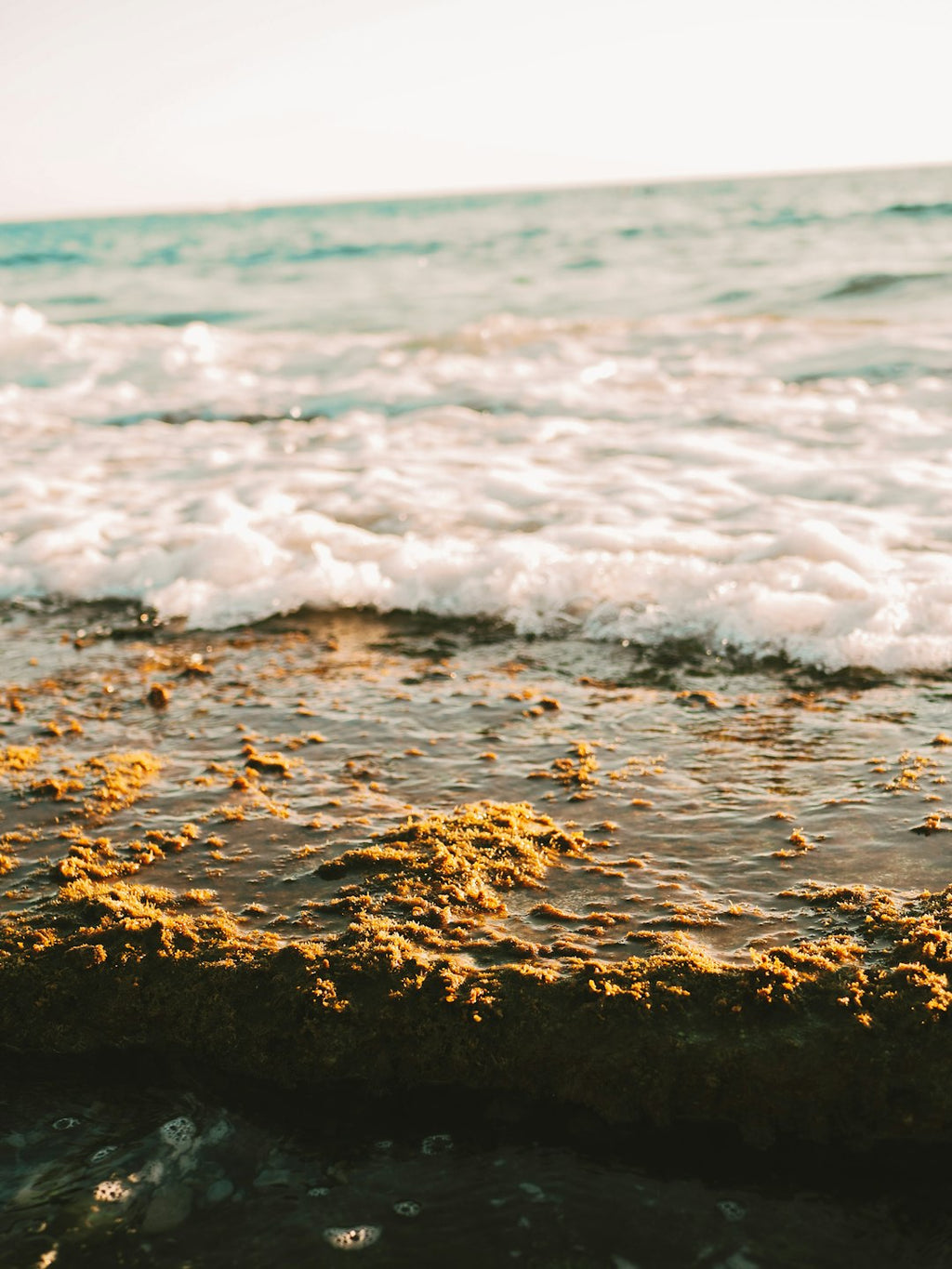 Oceanography Kaleidoscope wallpaper pattern — base photo: a close up of a wave coming in to the shore
