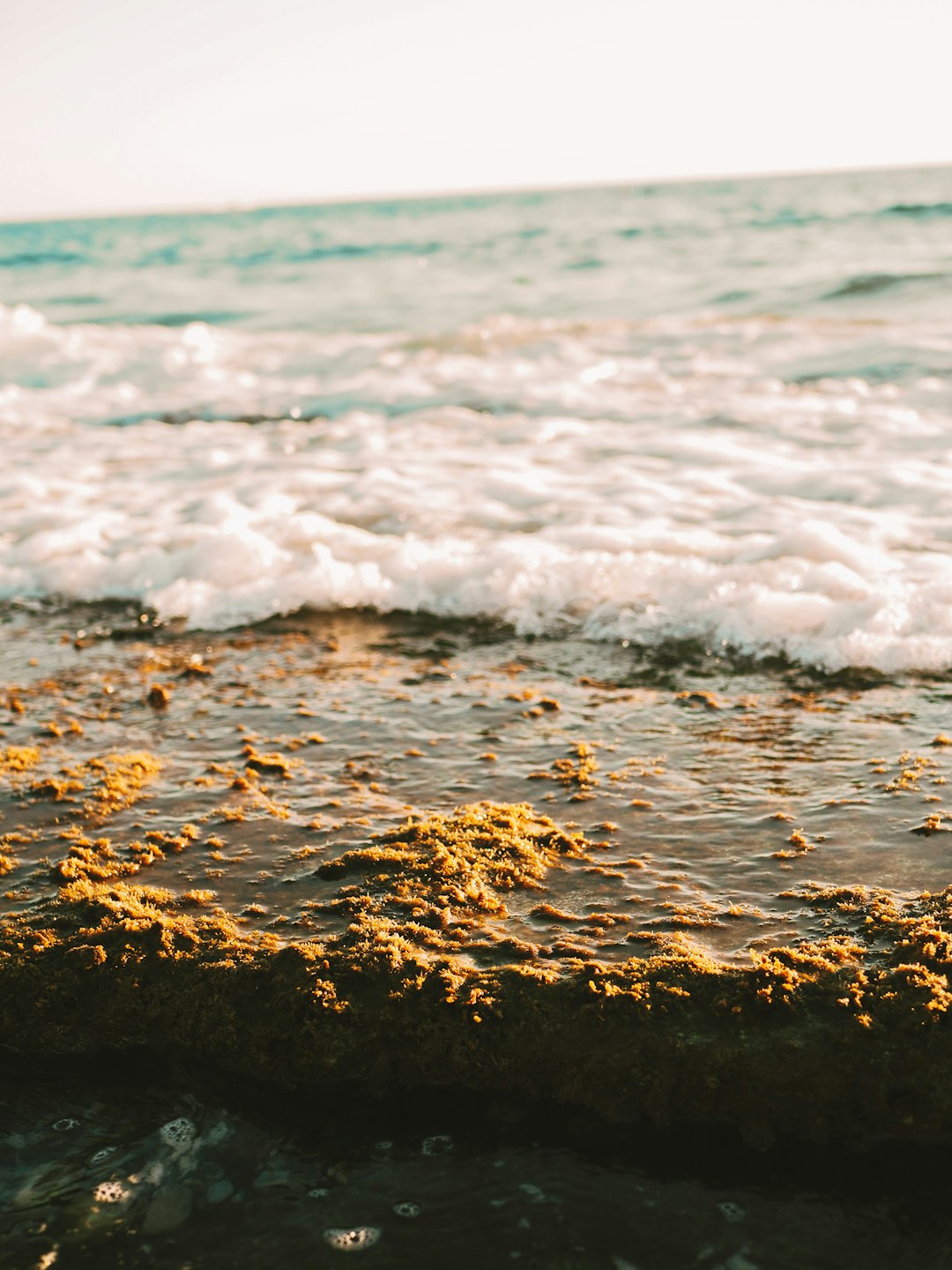 Oceanography Kaleidoscope wallpaper pattern — base photo: a close up of a wave coming in to the shore