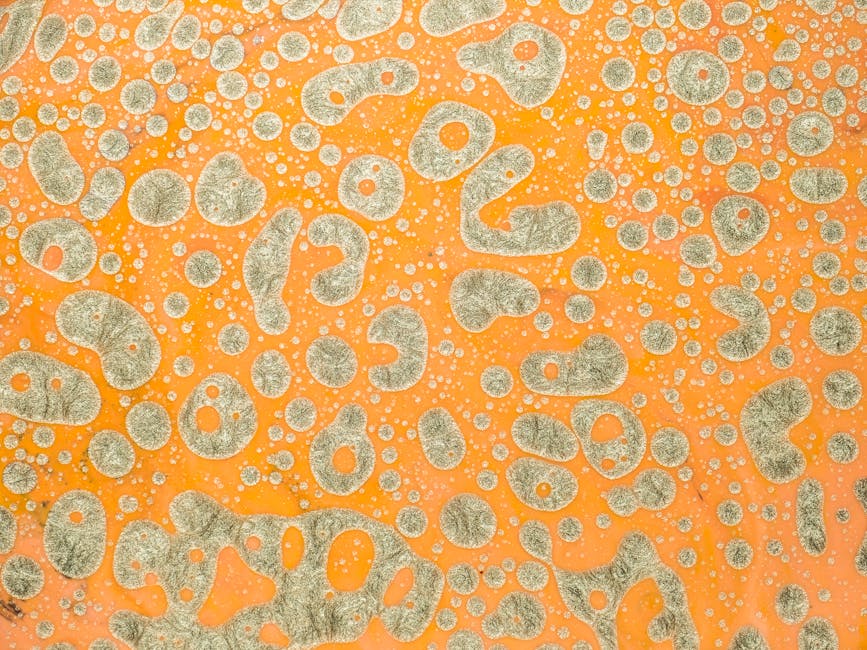 Biology Hexagon wallpaper pattern — base photo: A vibrant abstract image featuring a textured pattern with orange and gray hues.