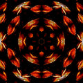 Close-up of brown reptile scales arranged in a detailed kaleidoscope pattern on self-adhesive wallpaper.