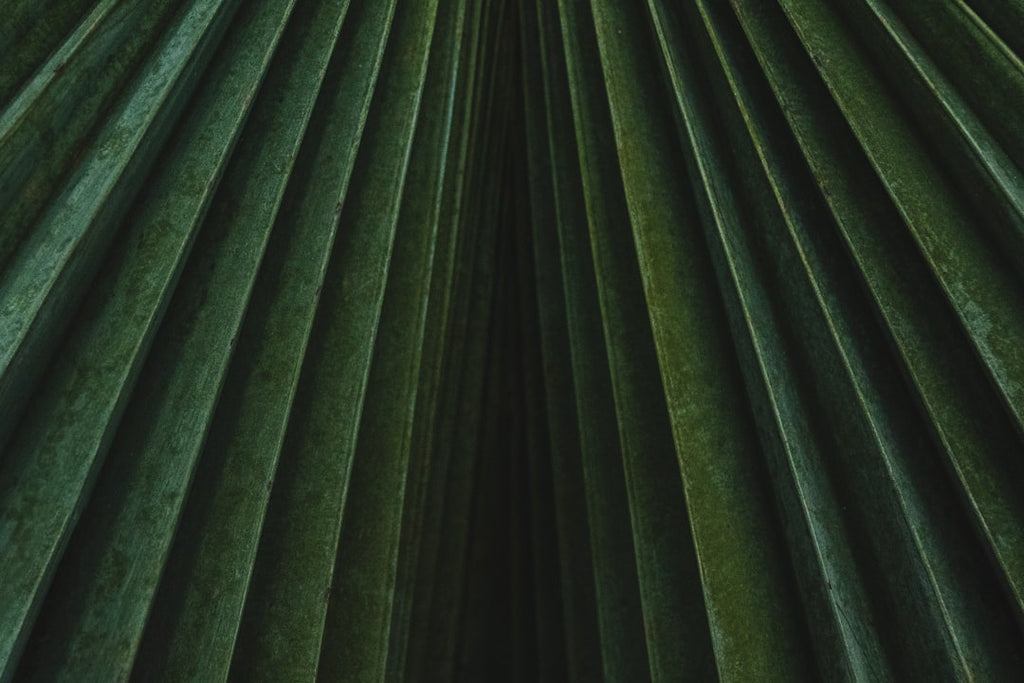 Seamless diamond wallpaper pattern — Origami by wallpaper⁶ — base photo: green and black area rug