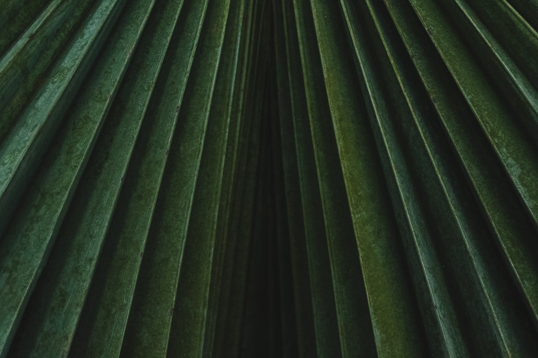Seamless diamond wallpaper pattern — Origami by wallpaper⁶ — base photo: green and black area rug
