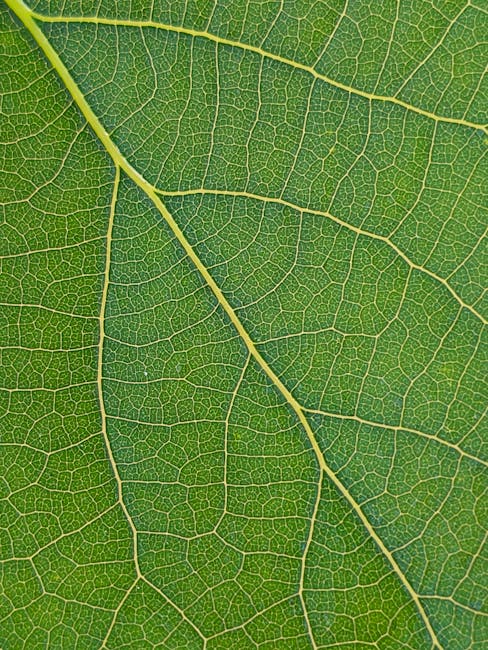 Close-up view of an organic structure pattern with intricate vein-like details in a diamond repeat, suitable for wallpaper. — base photo: A macro photograph capturing the delicate and complex network of a green leaf's veins. The intricate